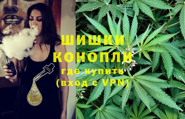 мяу мяу мука Аркадак