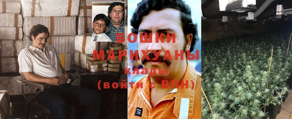 мяу мяу мука Аркадак