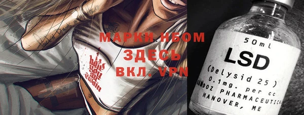 мяу мяу мука Аркадак