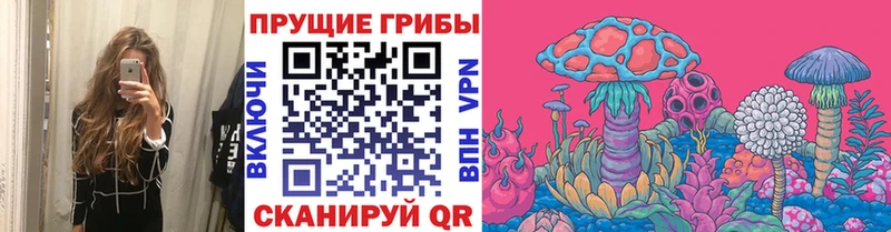 Купить  Белоярский  Галлюциногенные грибы Psilocybine cubensis 